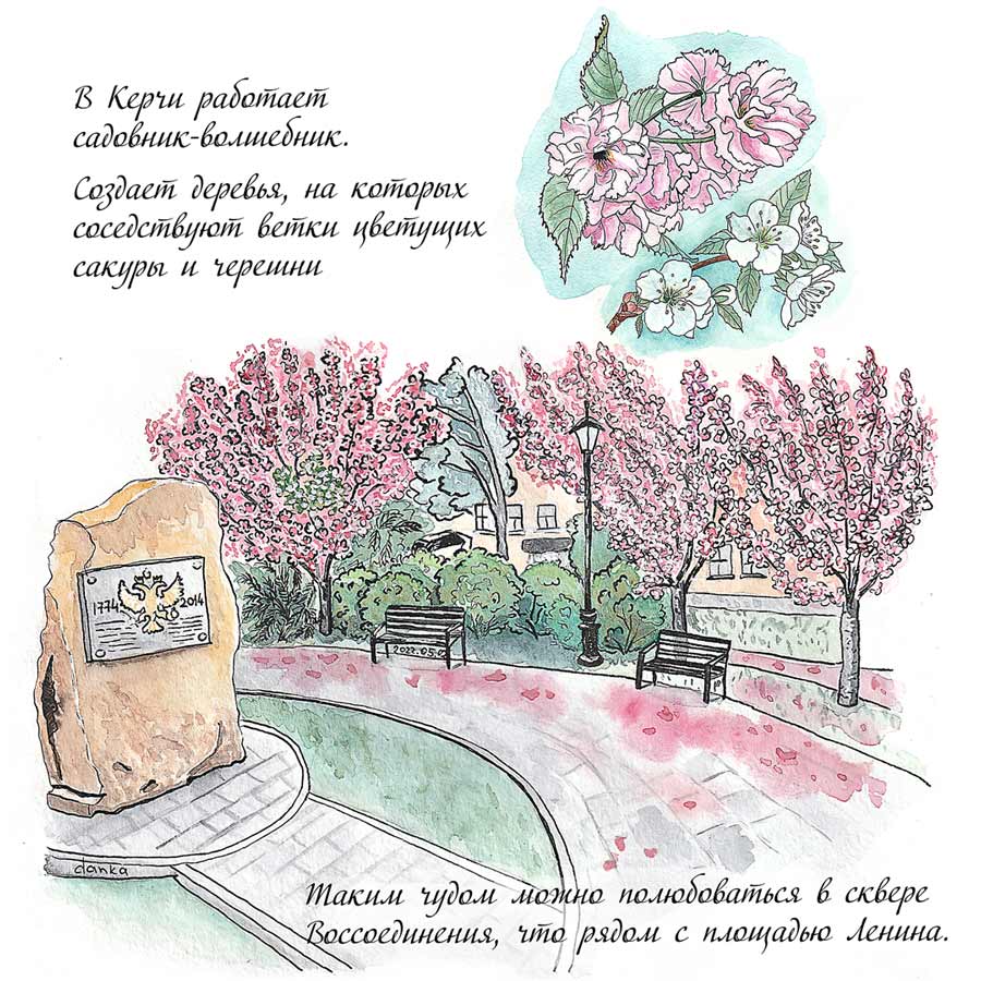 Рисунок цветущей сакуры в Керчи