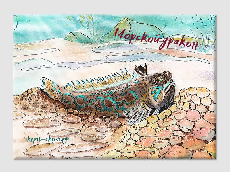 Магнит с рисунком морского дракона - ядовитой рыбки Черного моря